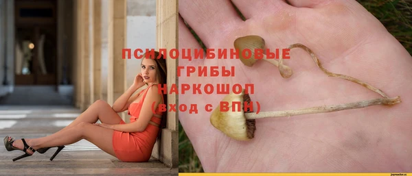 мдма Карпинск