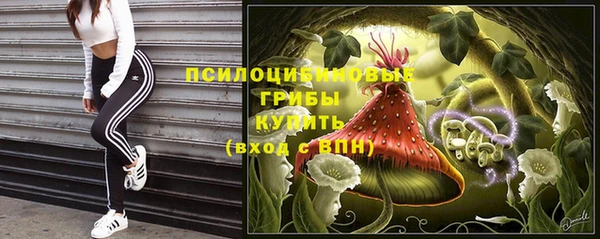 ECSTASY Карталы