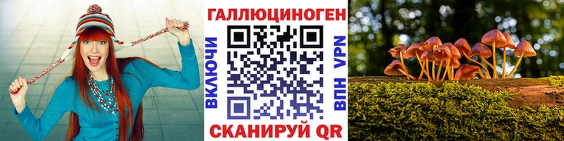 Псилоцибиновые грибы GOLDEN TEACHER  Купить закладки  Данков 